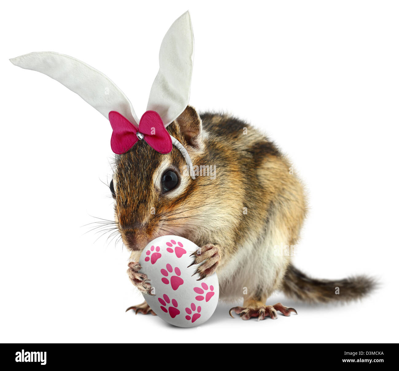 Funny Scoiattolo striado con orecchie di coniglietto e tenere premuto uovo di pasqua Foto Stock