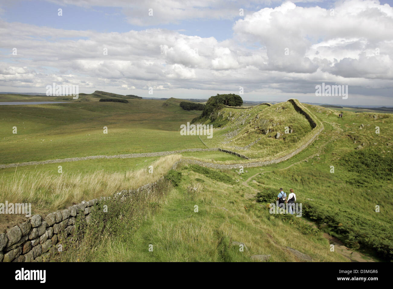 La foto non datata mostra i resti del romano del Vallo di Adriano vicino Thorngrafton in Norththumberland, UK. Il romano ex muro di frontiera chiamato dopo la sua erettore l'imperatore Adriano attraversa il Regno Unito per una distanza di 70 chilometri da Newcastle a Solway Firth. Dal 1987 la parete è elencato come patrimonio mondiale dell'UNESCO. Foto: Stephan Goerlich Foto Stock