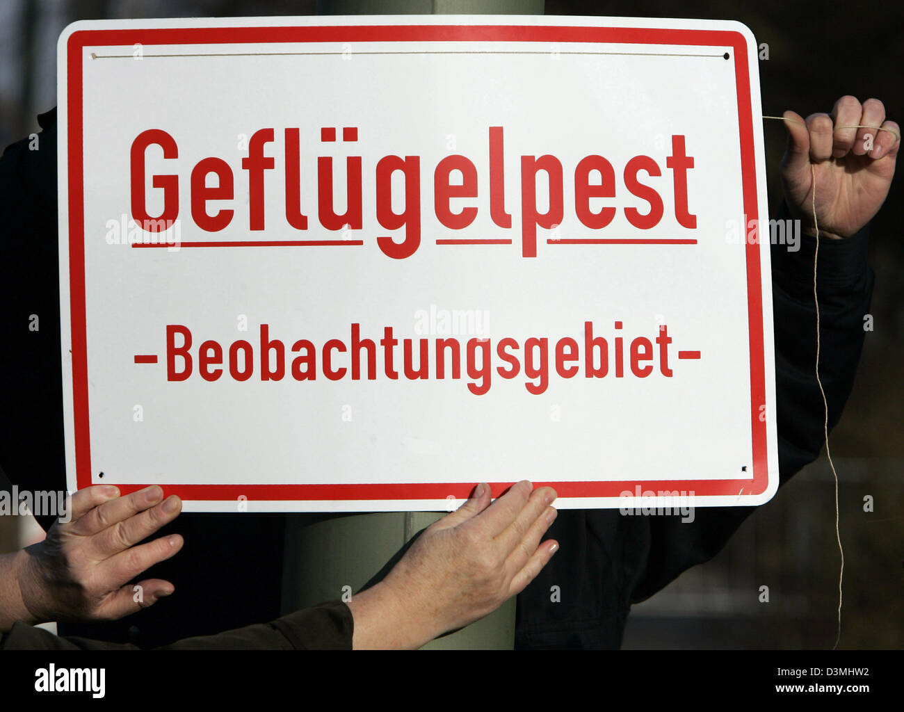 I membri dell'ufficio comunale messo un cartello che recita "influenza aviaria - Area sotto osservazione' nel quartiere Marzahn di Berlino, Venerdì, 24 marzo 2006. Berlino è il settimo stato federale per segnalare un caso di influenza aviaria. Berlino del dipartimento di helath ha dichiarato che la infezione virale H5N1 è stata rilevata in un punto morto comune poiana, whichw come si trova intorno alla zona locale di Marzahn. T Foto Stock