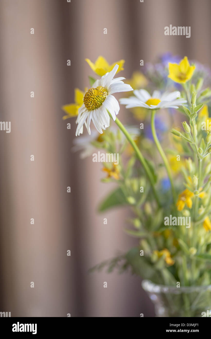 Bouquet romantico con raccolti freschi Fiori in vaso Foto Stock