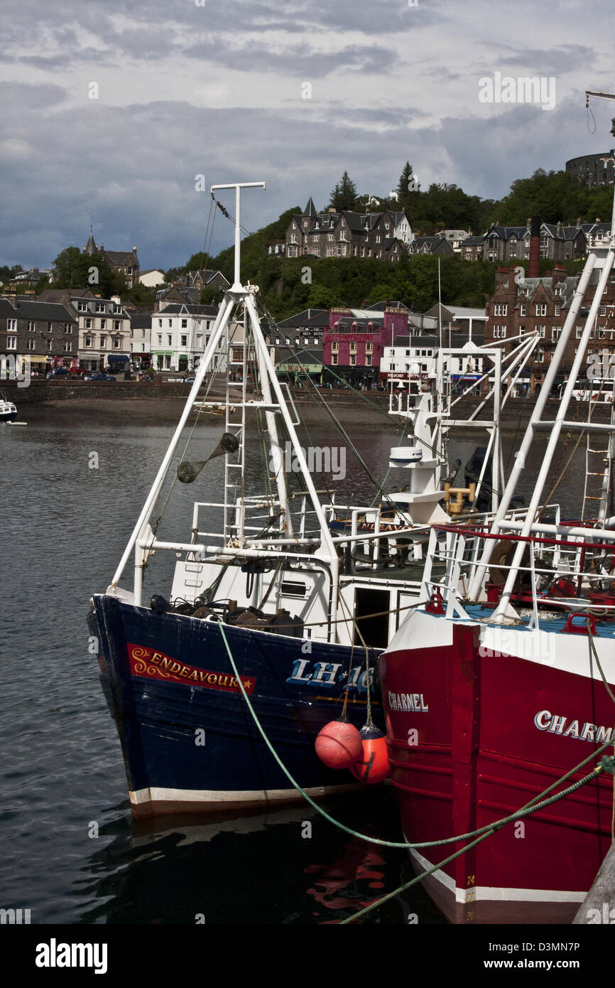 Oban, Scozia, barche da pesca a quayside, città wharf con McCraig Torre della follia sulla collina Foto Stock