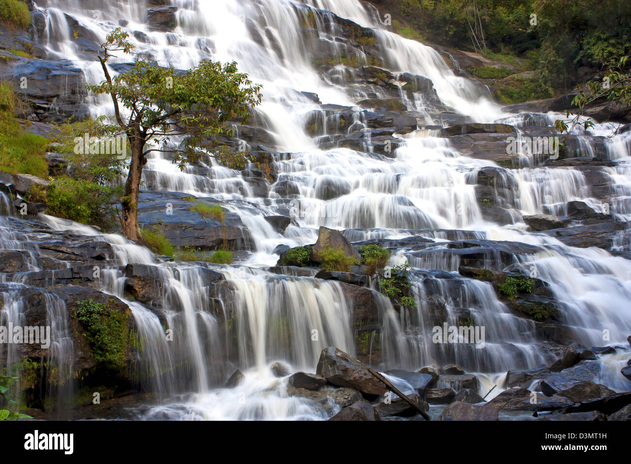 Torrenti di montagna, cascate, verde foresta vacanza estiva. Foto Stock