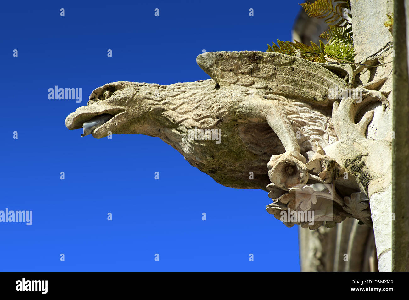 Gargoyle gotico statue sulla facciata della Cattedrale Gotica di Notre-dame, Amiens, Francia Foto Stock