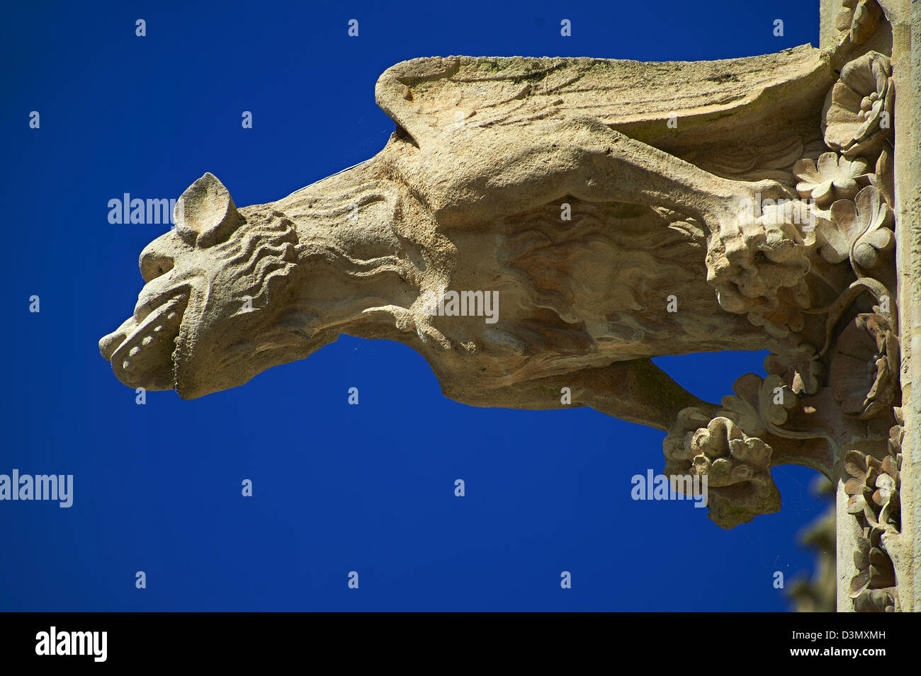 Gargoyle gotico statue sulla facciata della Cattedrale Gotica di Notre-dame, Amiens, Francia Foto Stock