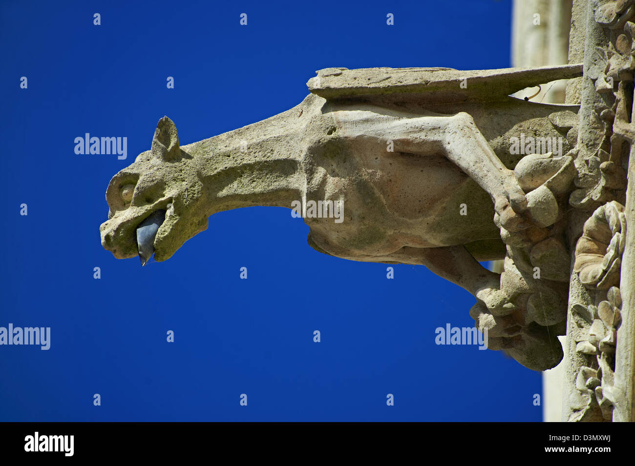 Gargoyle gotico statue sulla facciata della Cattedrale Gotica di Notre-dame, Amiens, Francia Foto Stock