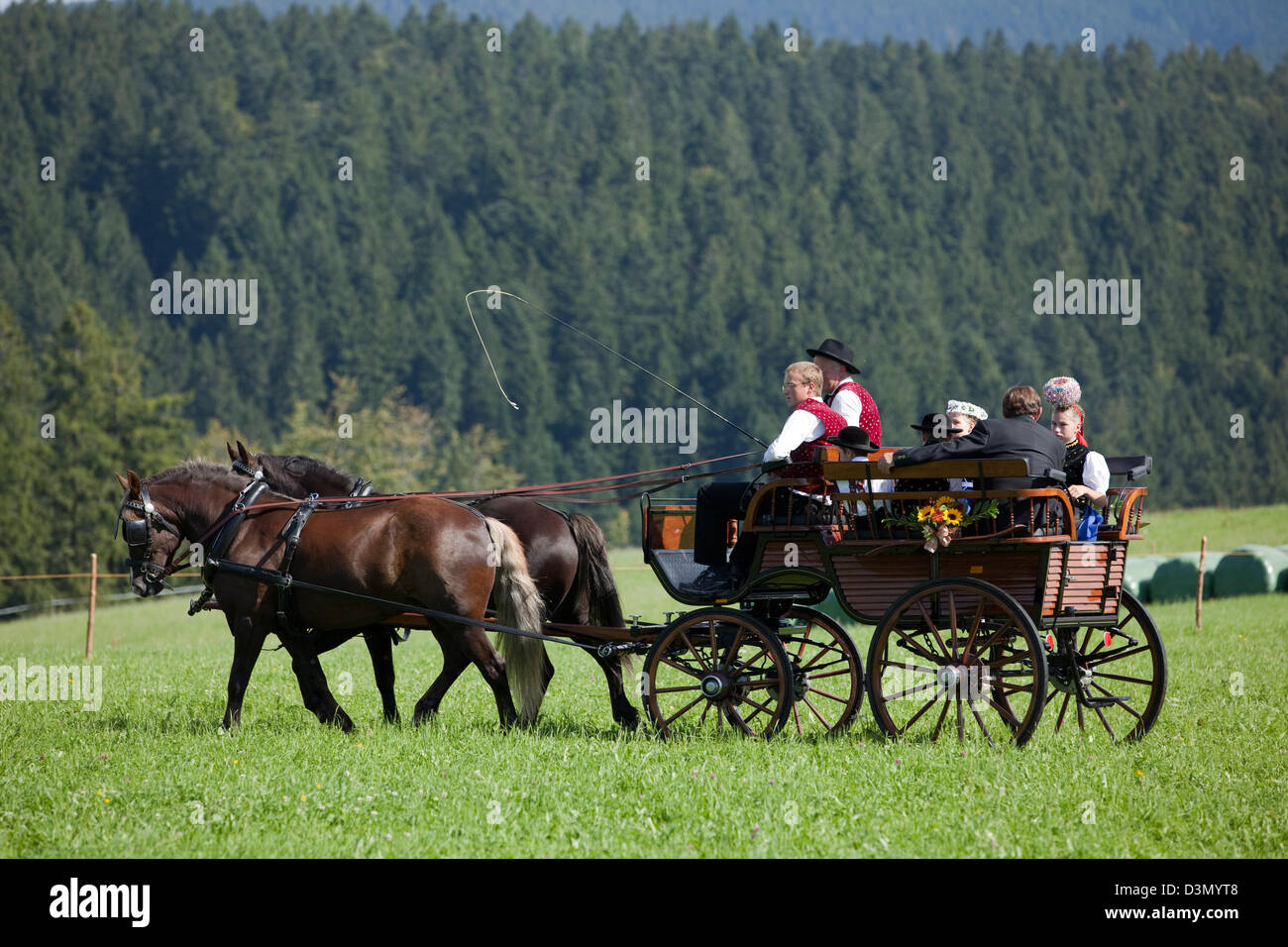 Sankt Margen, Germania, un carro trainato da cavalli tirato da cavalli, Foresta Nera Foto Stock