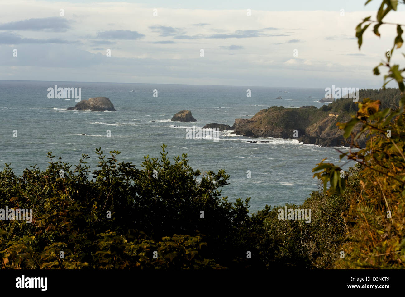 Ocean, Rock, alberi, Northern CA, Humboldt County, Trinidad CA Foto Stock