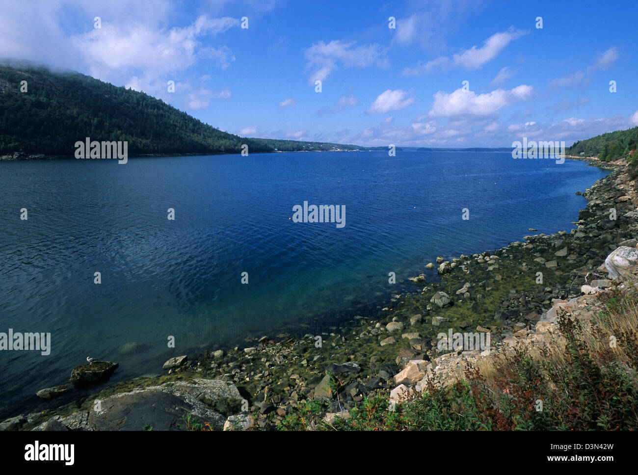 Elk282-2163 Maine, Parco Nazionale di Acadia, Somes Sound Foto Stock