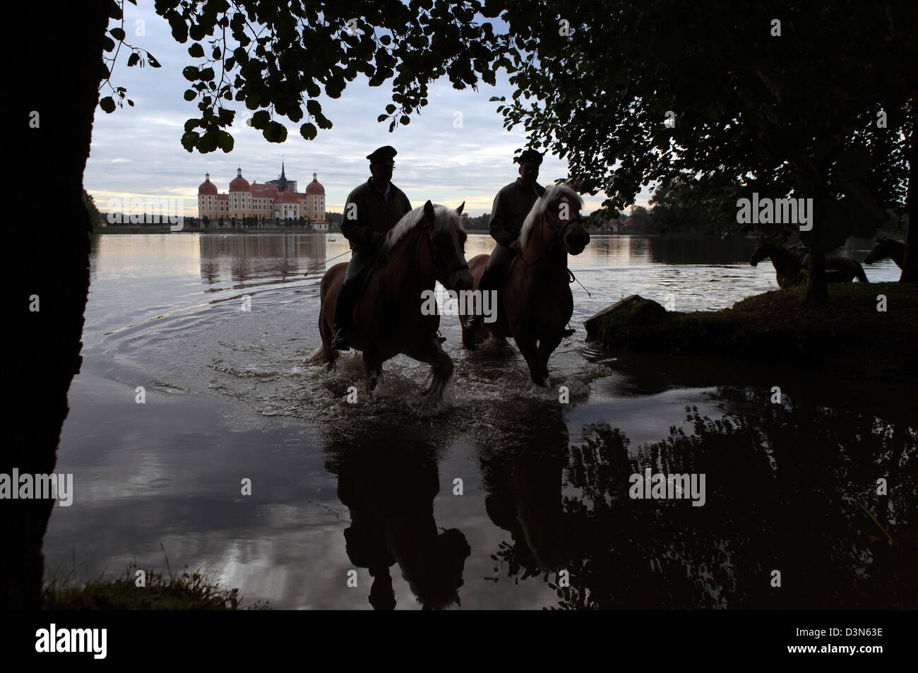 Moritzburg, Germania, silhouette di cavalli e cavalieri nel lago di fronte alla Schloss Moritzburg Foto Stock