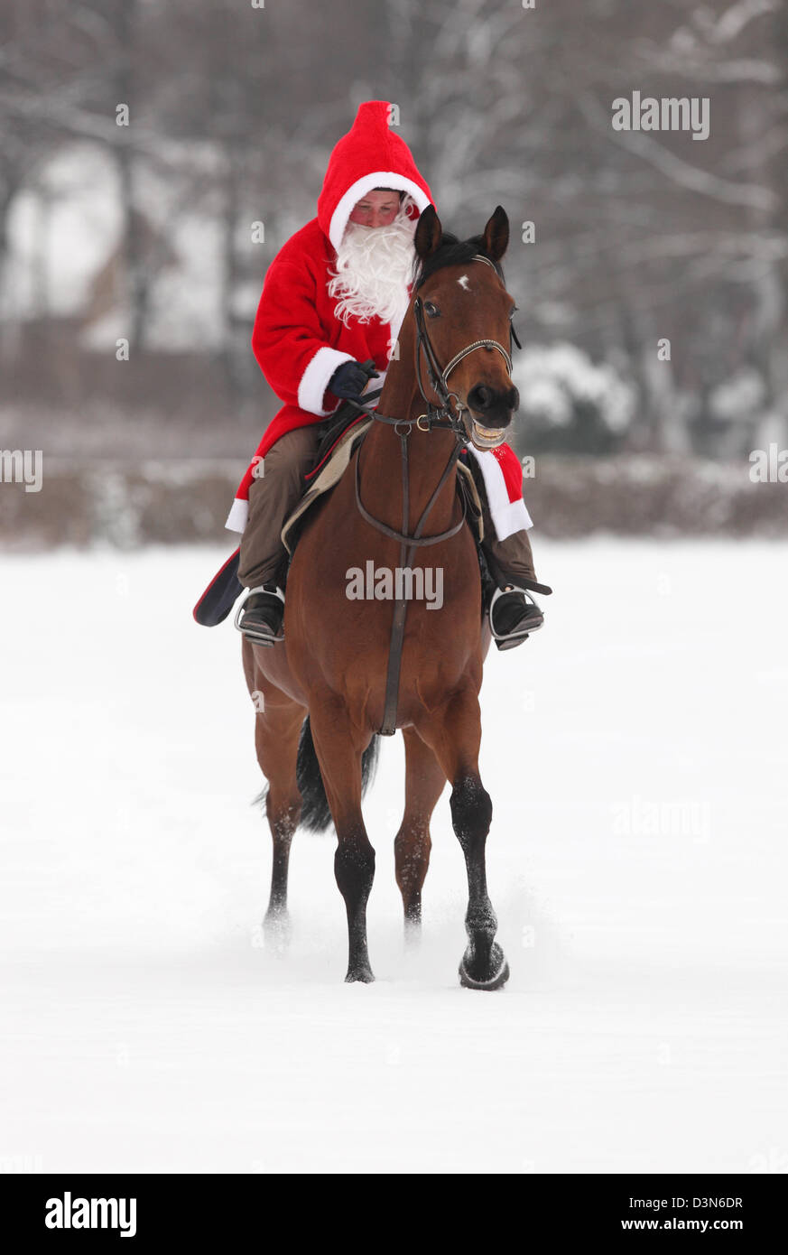 Hoppegarten, Germania, Santa Claus in sella a un cavallo attraverso la neve Foto Stock