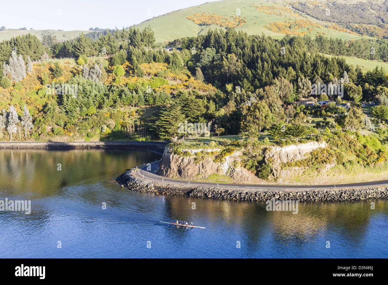 Dolci colline a Otago Harbour, Dunedin in Nuova Zelanda Foto Stock