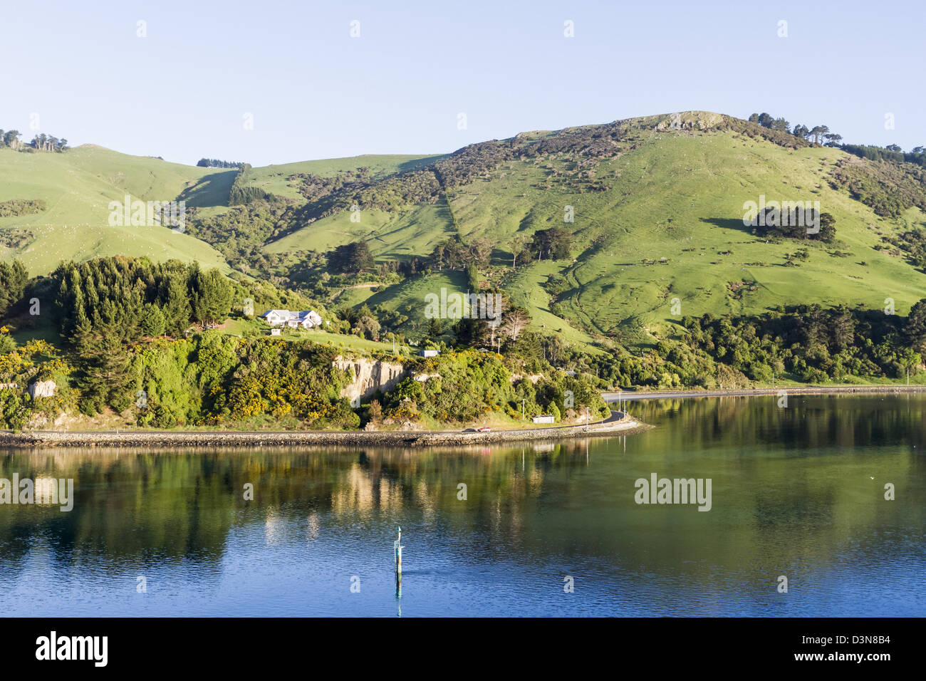 Dolci colline a Otago Harbour, Dunedin in Nuova Zelanda Foto Stock