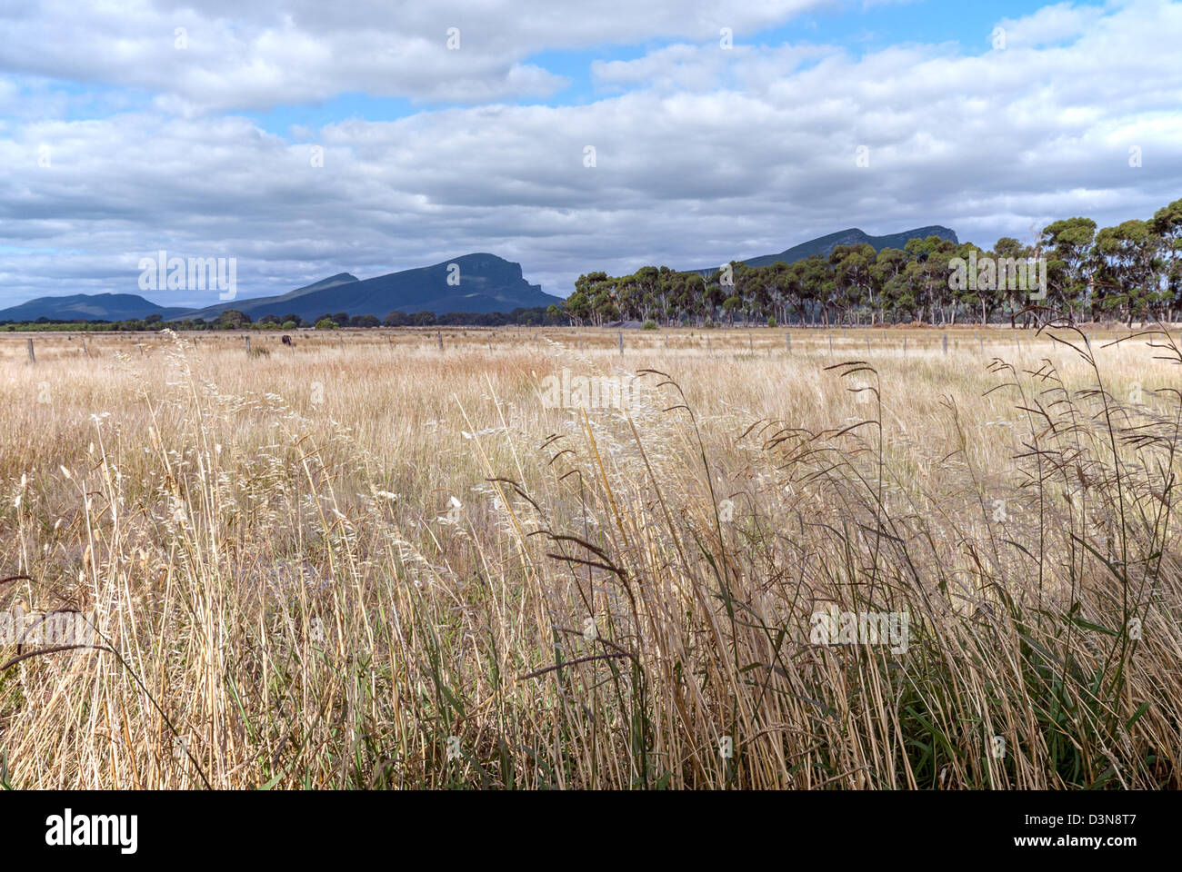 Terreni agricoli a secco nel corso di un periodo di siccità in Australia Foto Stock