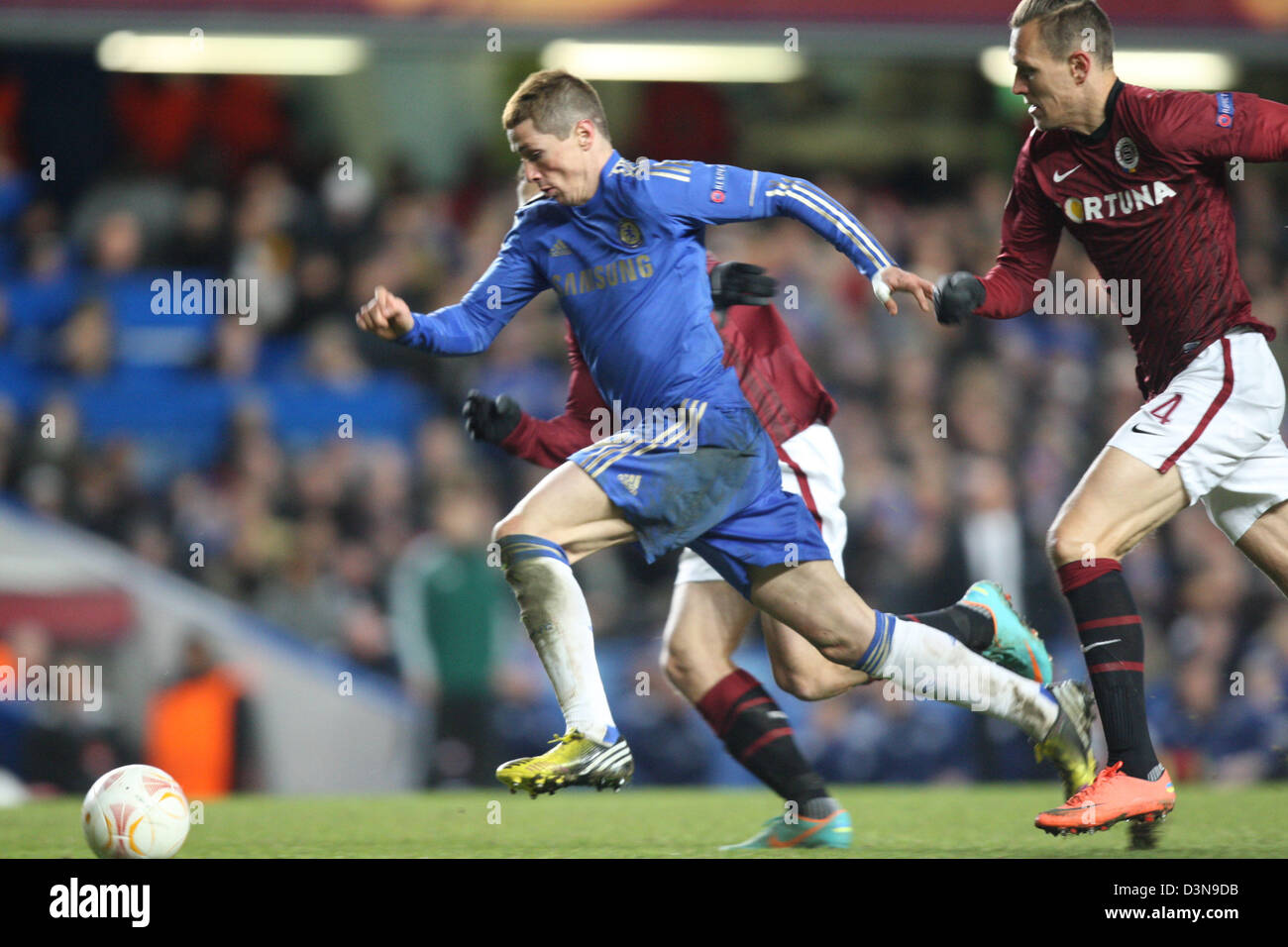 21.02.2013. Londra, Inghilterra. Fernando Torres del Chelsea durante la UEFA Europa League, Round di 32, seconda gamba gioco tra Chelsea e Sparta Praga da Stadio Stamford Bridge Foto Stock