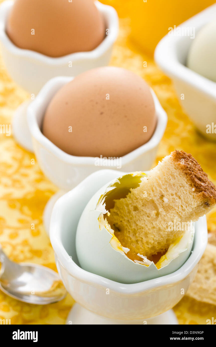 Uova sode in tazza di uovo e serviti con pane tostato dita. Foto Stock