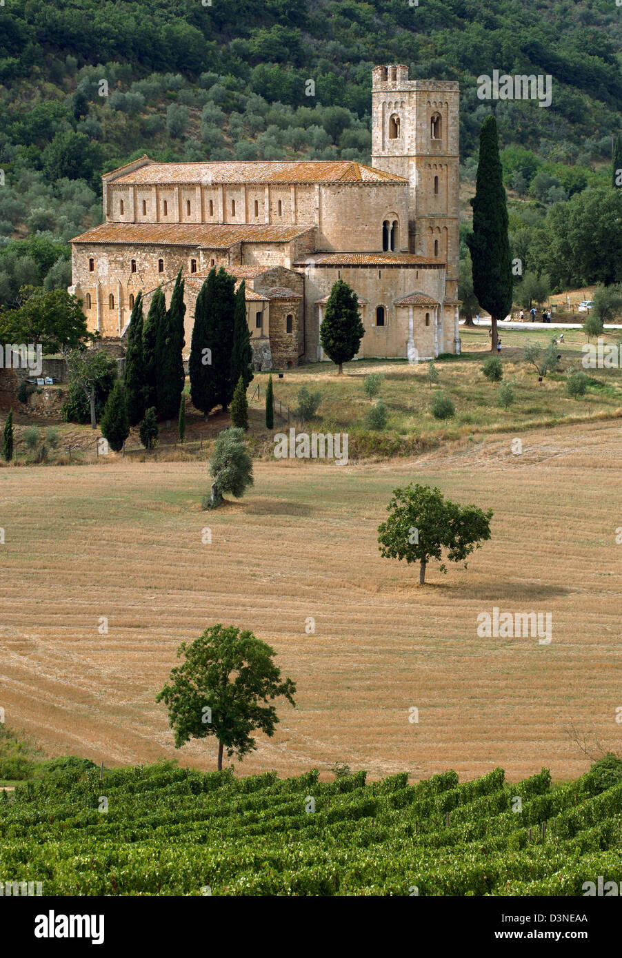 (Dpa - file) La foto mostra l'Abbazia di Sant'Antimo ('Abbazia di Sant'Antimo') vicino a Montalcino in Italia, settembre 2005. L'ex Abbazia dei Benedettini nella valle Starcia e la zona del Chianti è considerata un gioiello di architettura romanica in Toscana. Dopo un lungo periodo di monaci unihabited restituiti all'abbazia nel 1979. Il famoso vino 'Brunnello di Montalcino" è cresciuto in Foto Stock