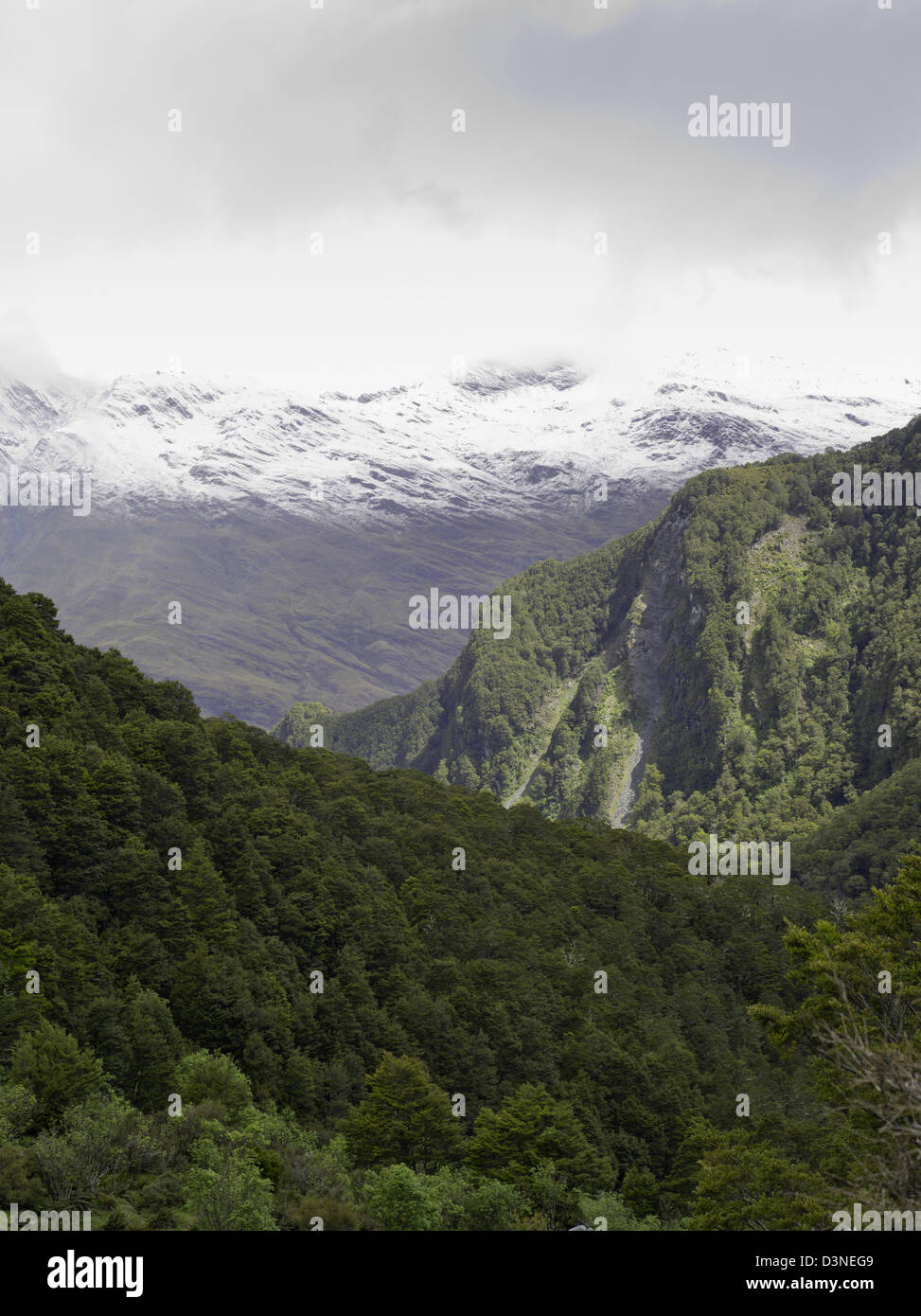 Vedute lungo la strada del Rob Roy Glacier via, Mt Aspiring National Park, vicino a Wanaka, Nuova Zelanda Foto Stock