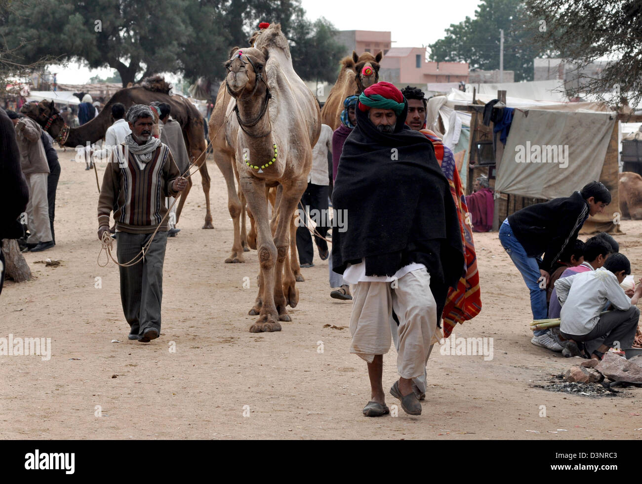 I venditori portano i loro cammelli durante la fiera del bestiame nella parte occidentale della città indiana di Nagaur, in Rajasthan. Foto Stock