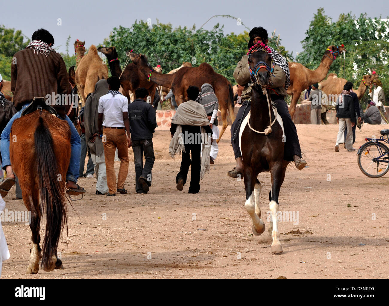 Un acquirente prende un giro di prova di un cavallo durante la fiera del bestiame nella parte occidentale della città indiana di Nagaur, in Rajasthan. Foto Stock