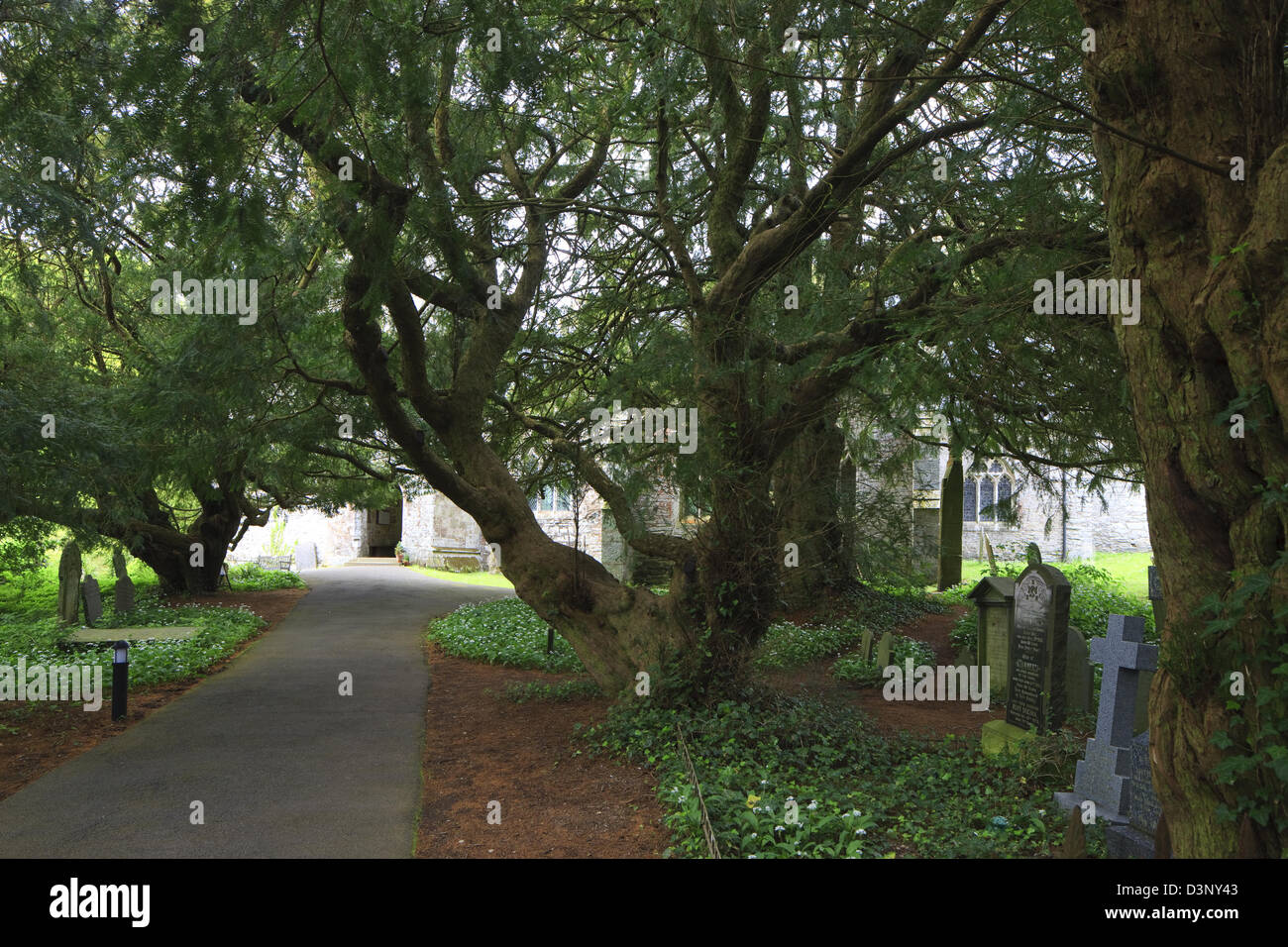 St Brynach Chiesa cantiere Nevern Fishguard Pembrokeshire Wales Foto Stock