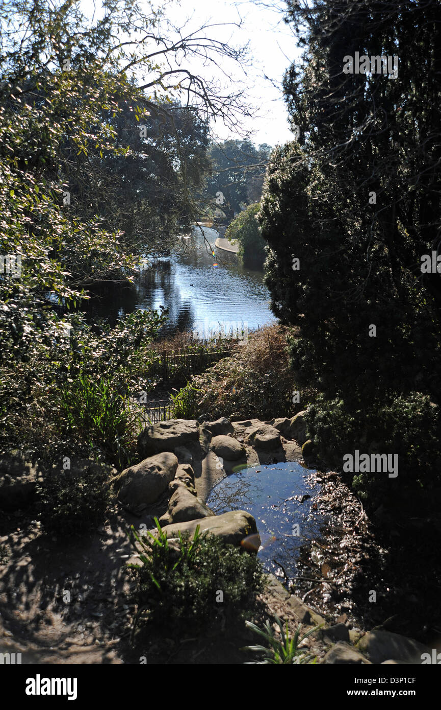 Brighton SUSSEX REGNO UNITO20 febbraio 2013 - sole primaverile in Queens Park Brighton oggi Foto Stock