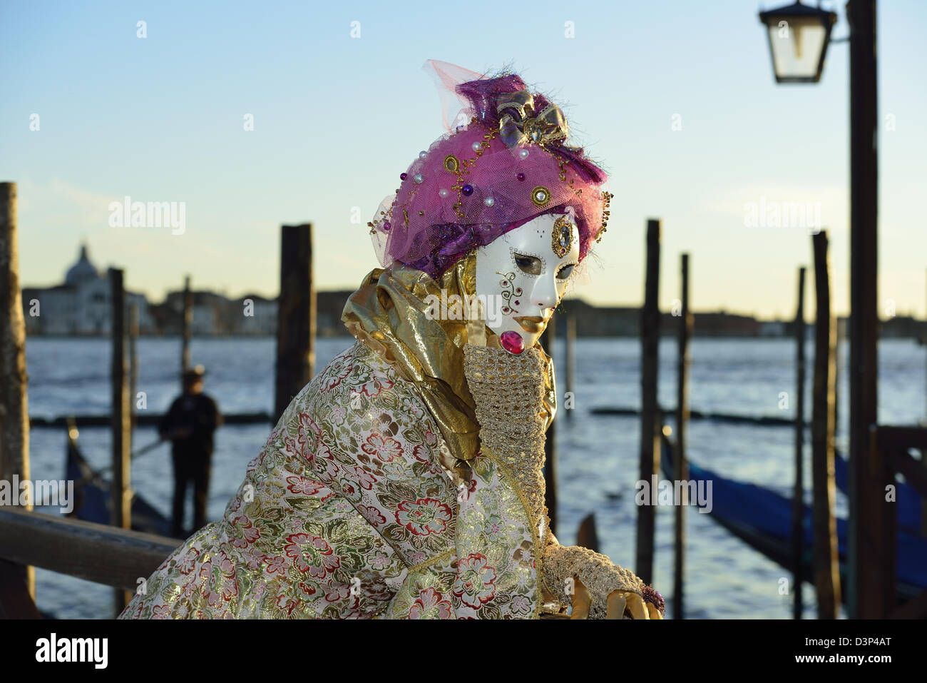Alcuni splendidi costumi durante il carnevale 2013; Venezia; Veneto, Italia Foto Stock