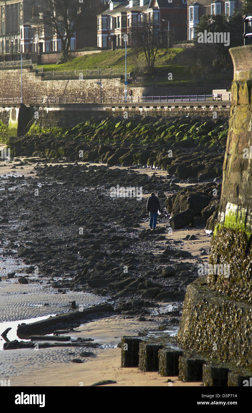 Bassa marea a Egremont, Seacombe,Wallasey, Merseyside England Regno Unito. Febbraio 2013 Foto Stock