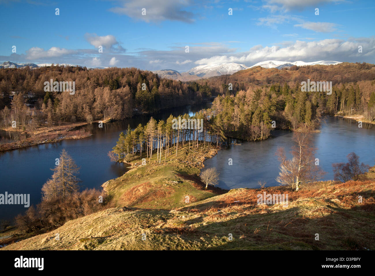 Tarn Hows, National Trust, Lake District inglese. Regno Unito Foto Stock