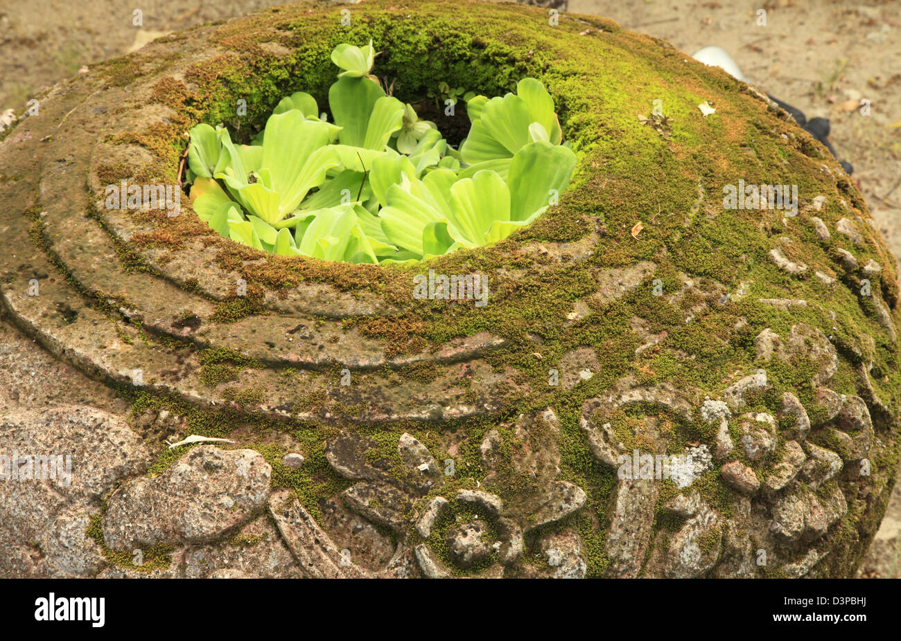 Malaysia, Kedah, l'Isola di Langkawi, giara di pietra, MOSS, Foto Stock