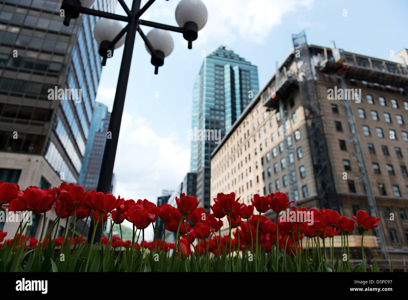 Il centro di primavera sulla scena McGill Avenue a Montreal, Quebec Foto Stock