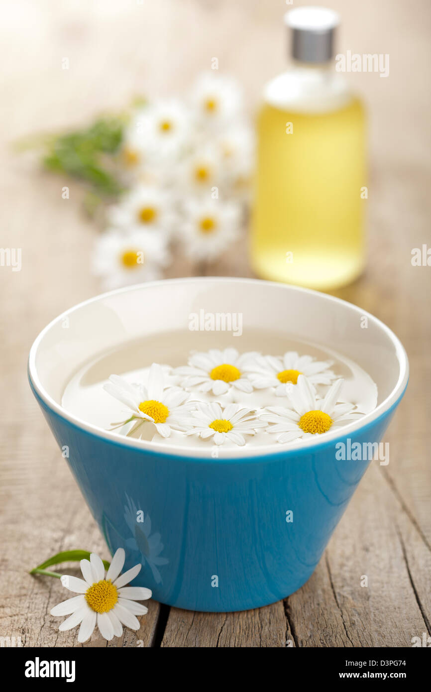 Fiori di camomilla e olio essenziale Foto Stock