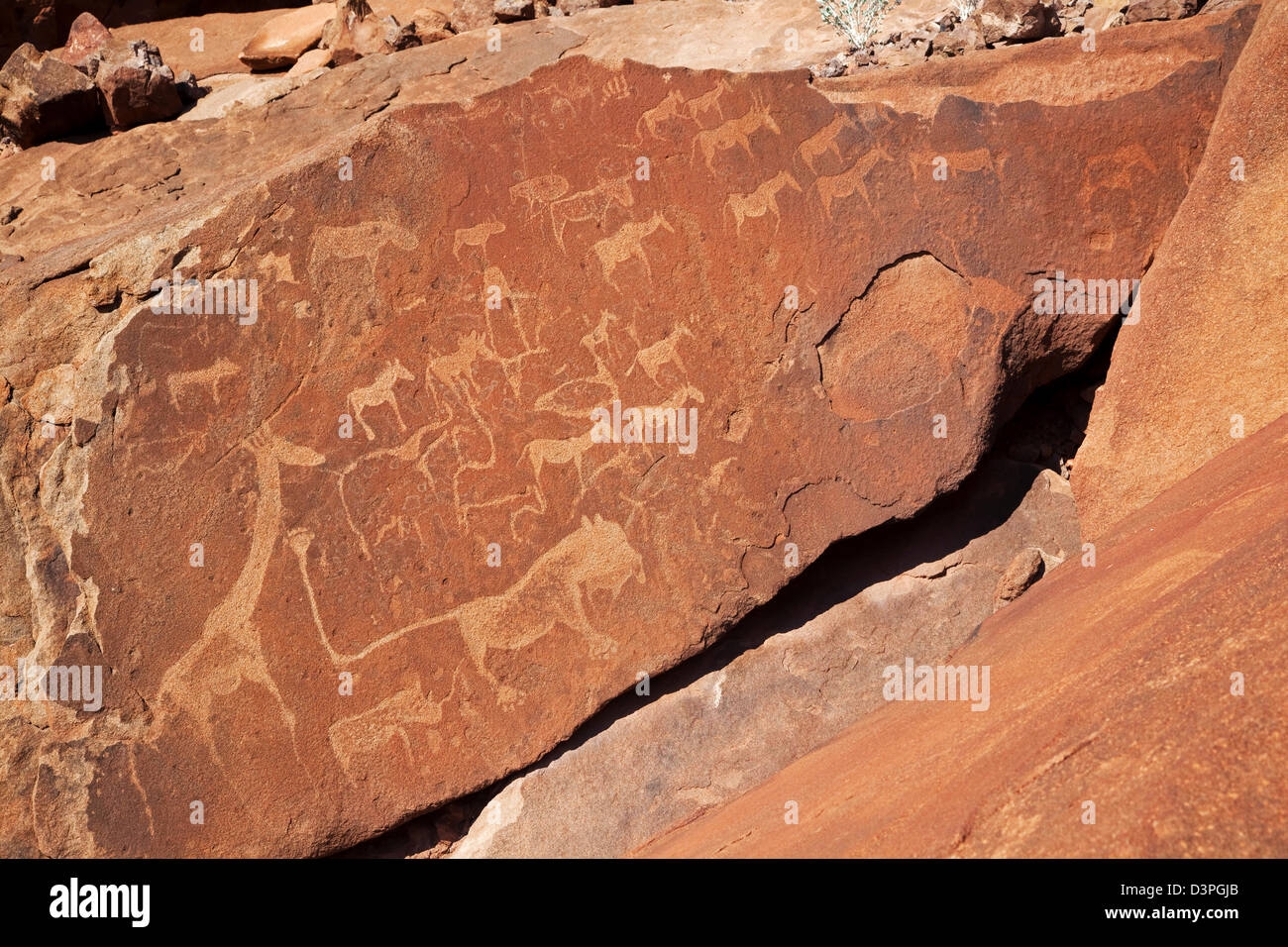 Piastra di Lion con Lion uomo, iconico incisioni a Twijfelfontein, Namibia, Sud Africa Foto Stock