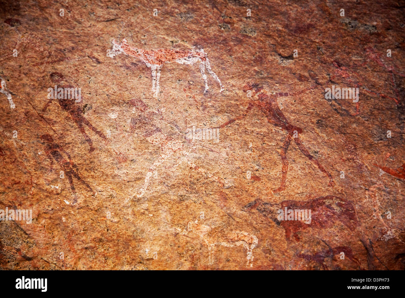 Il White Lady, rock pittura su una piccola sporgenza di roccia, nel profondo del monte Brandberg, Damaraland, Namibia, Sud Africa Foto Stock