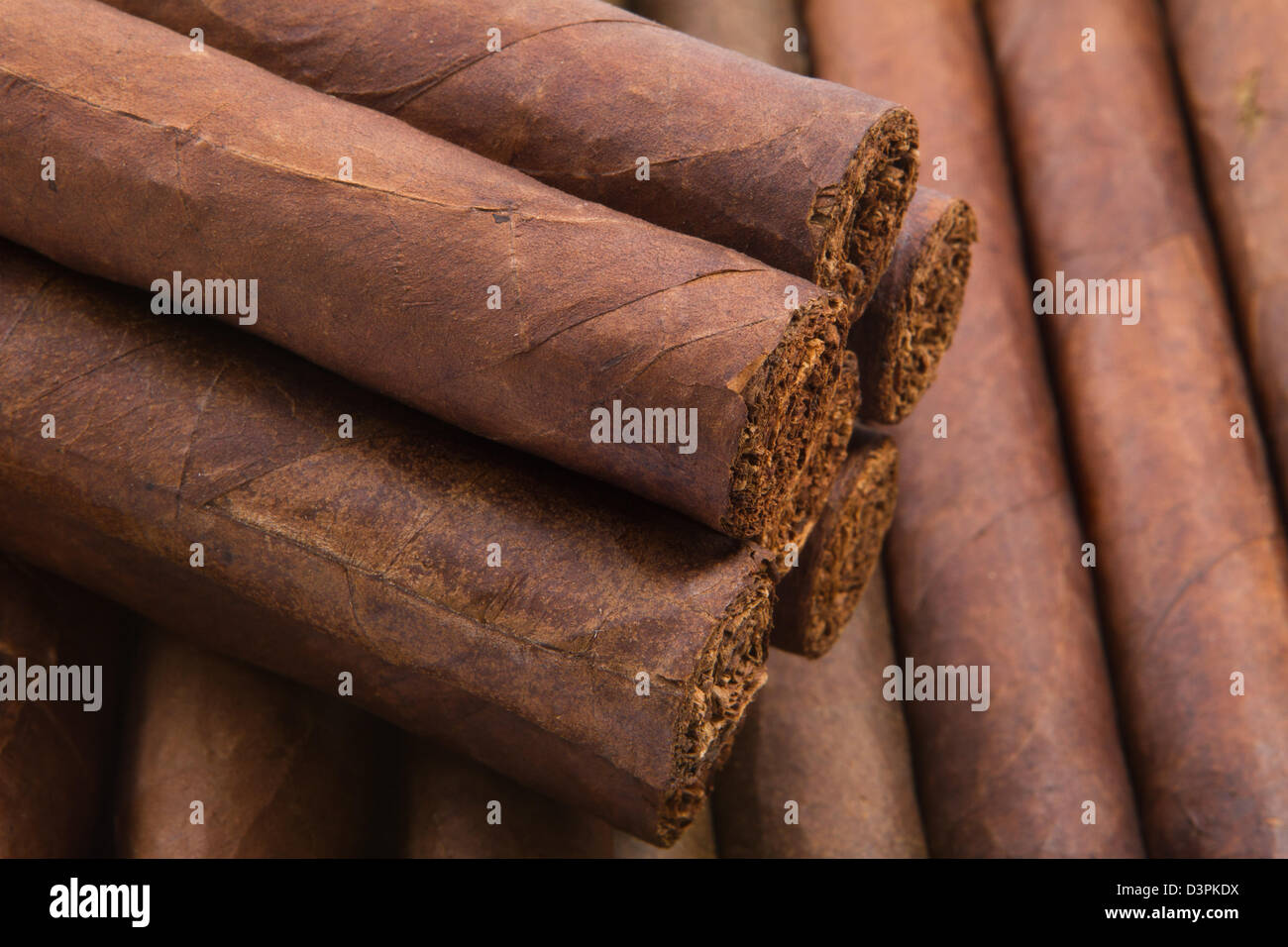 Tabaco tabacco Sigari maduro sfumature di legante di sigari Foto Stock