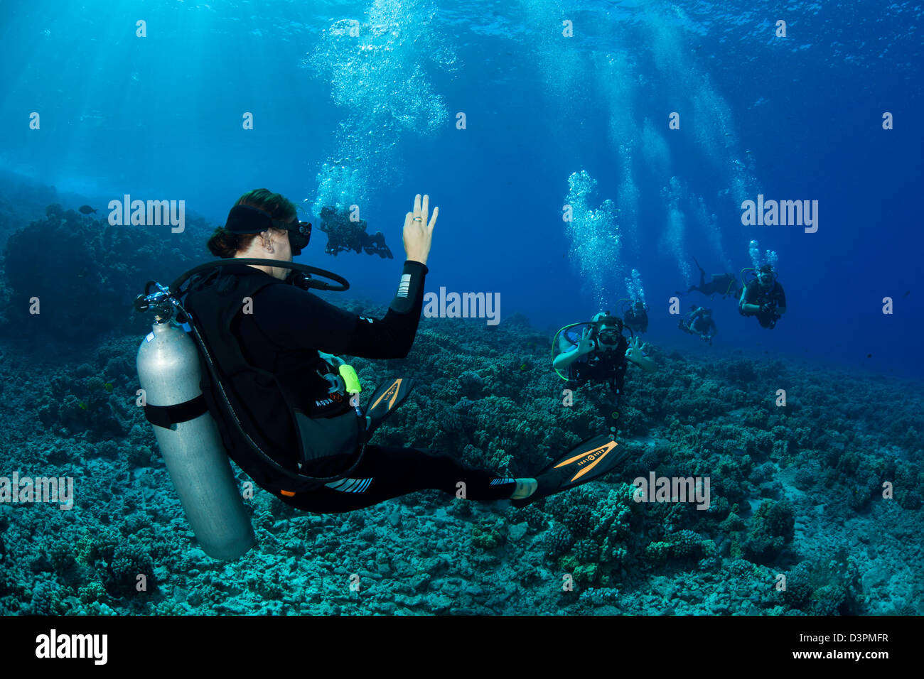 Un tuffo guida (MR) controlli torna con il suo divers su una scogliera a Molokini isolotto off Maui, Hawaii. Foto Stock