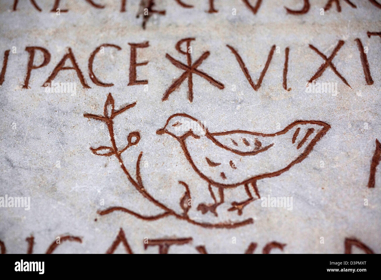 Una colomba un antico simbolo cristiano, su un sarcofago nel Museo del Vaticano Foto Stock