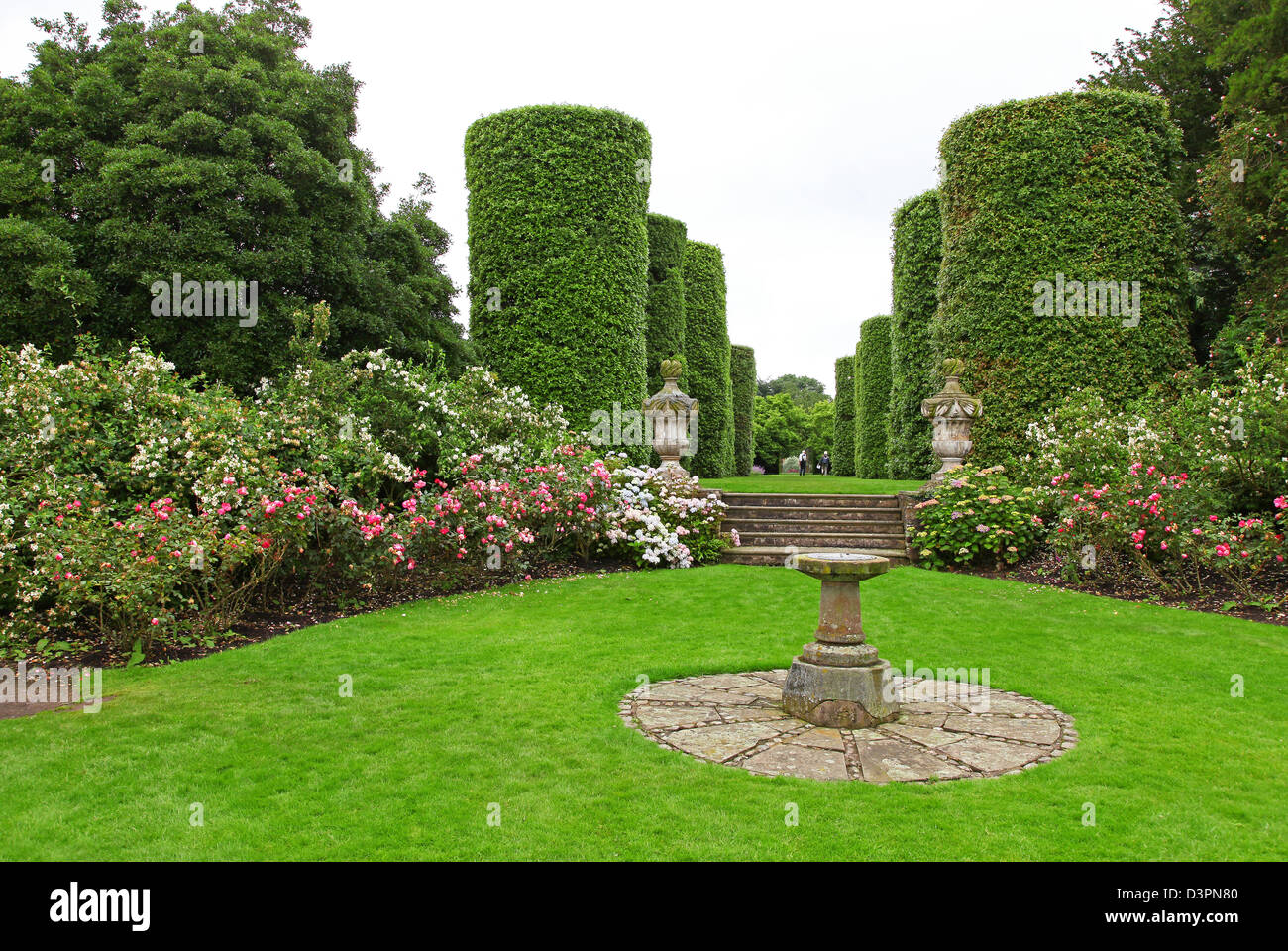 Ilex Avenue che consiste di sette coppie di lecci tagliata nella forma di cilindri Arley Hall gardens cheshire england Foto Stock