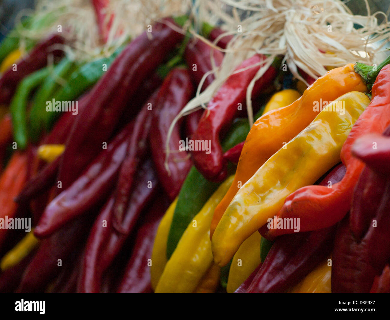 Rista fresco sul display presso il locale mercato degli agricoltori. La leggenda narra, nel sud-ovest, che appeso chili ristras porta fortuna se appeso all'ingresso della casa. Foto Stock