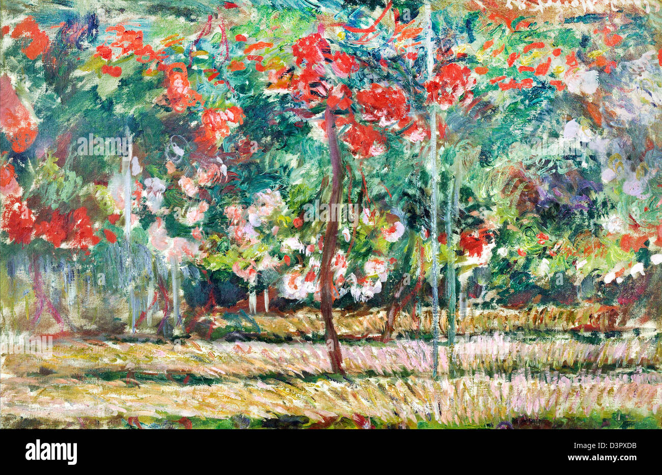 Claude Monet, Peonia Giardino 1887 olio su tela. Museo Nazionale di Arte Occidentale di Tokyo Foto Stock