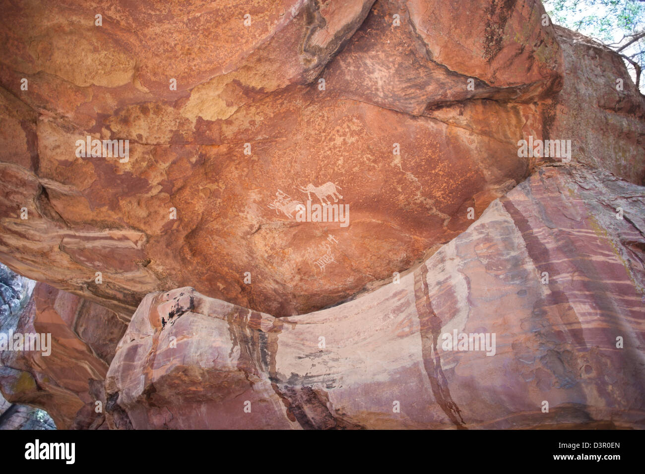 Close-up di una grotta che mostra di pittura uomo con gli elefanti, Bhimbetka Ripari Raisen distretto, Madhya Pradesh, India Foto Stock