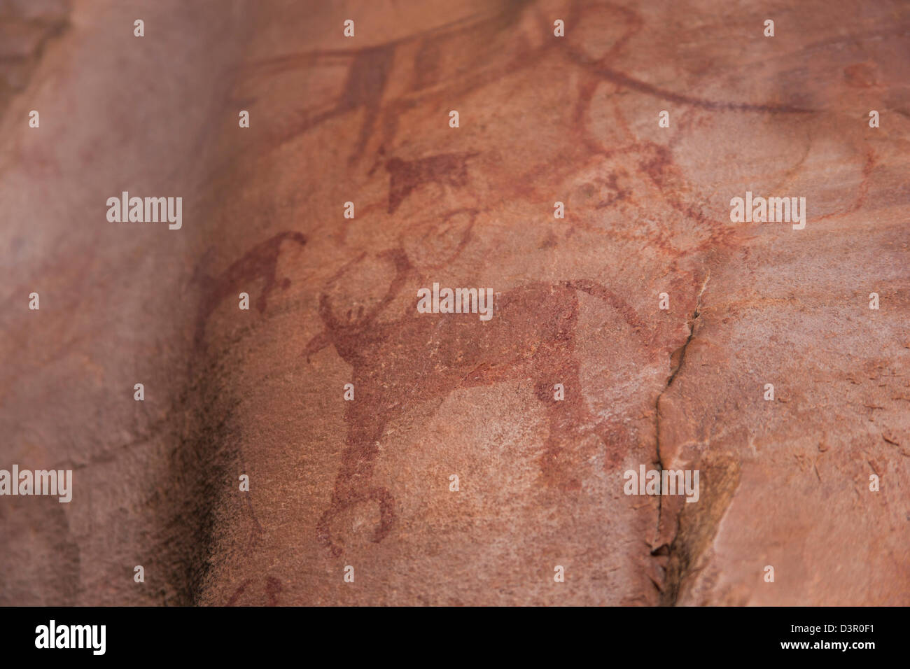 Close-up di una pittura rupestre di animali, Bhimbetka Ripari Raisen distretto, Madhya Pradesh, India Foto Stock