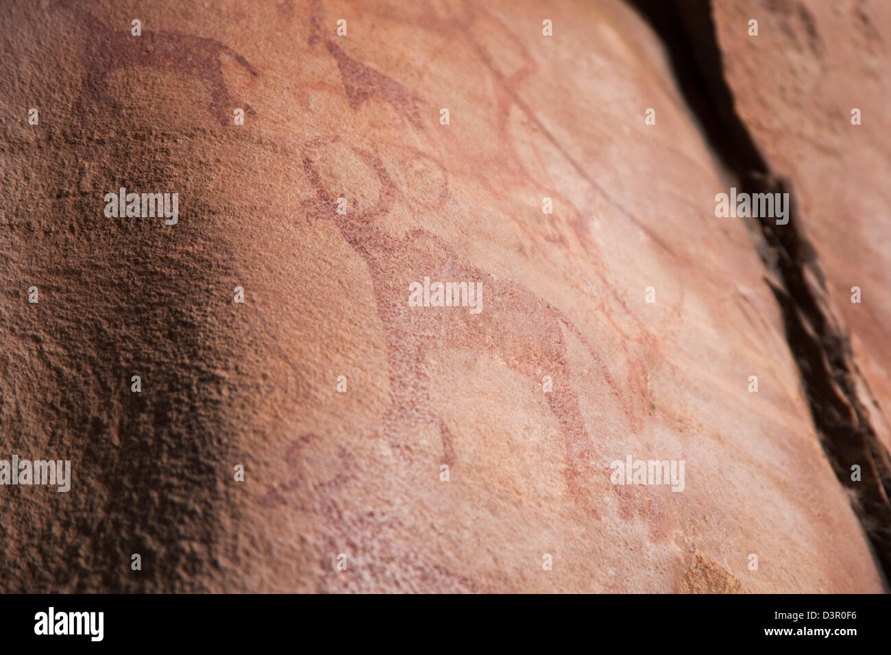 Close-up di una pittura rupestre di animali, Bhimbetka Ripari Raisen distretto, Madhya Pradesh, India Foto Stock