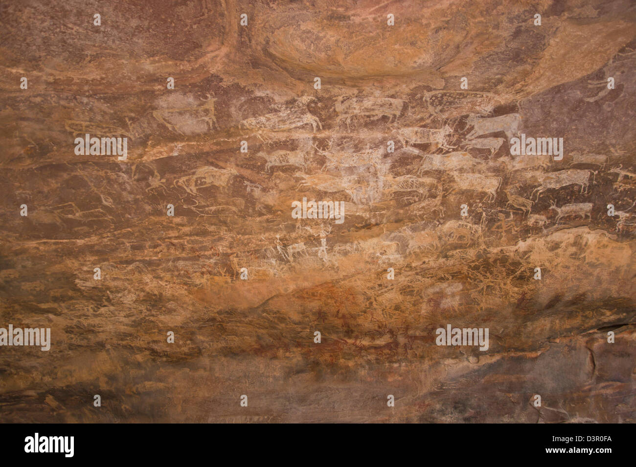 Close-up di una pittura rupestre di animali, Bhimbetka Ripari Raisen distretto, Madhya Pradesh, India Foto Stock
