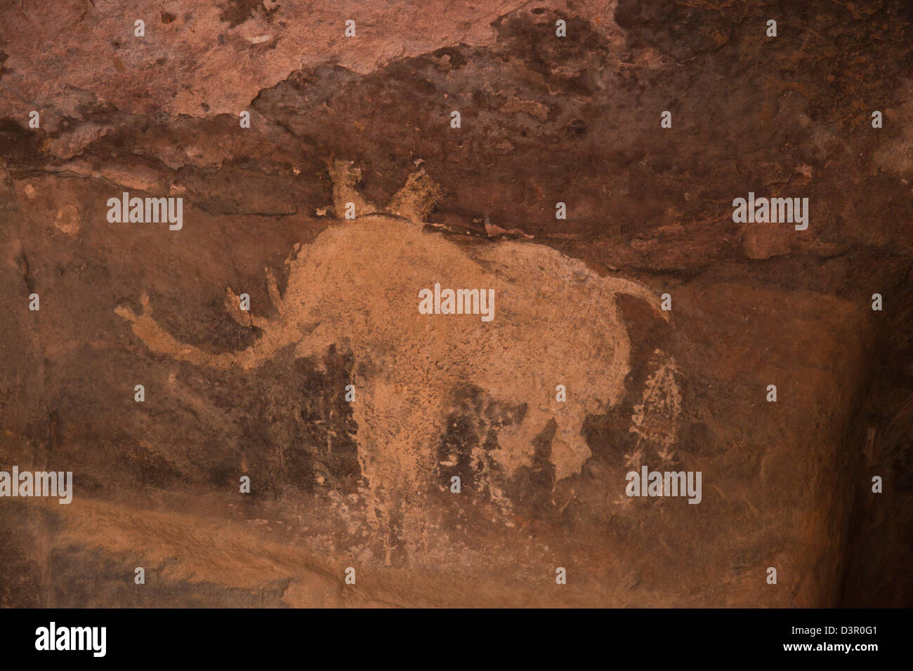 Close-up di pitture rupestri di elefante, Bhimbetka Ripari Raisen distretto, Madhya Pradesh, India Foto Stock
