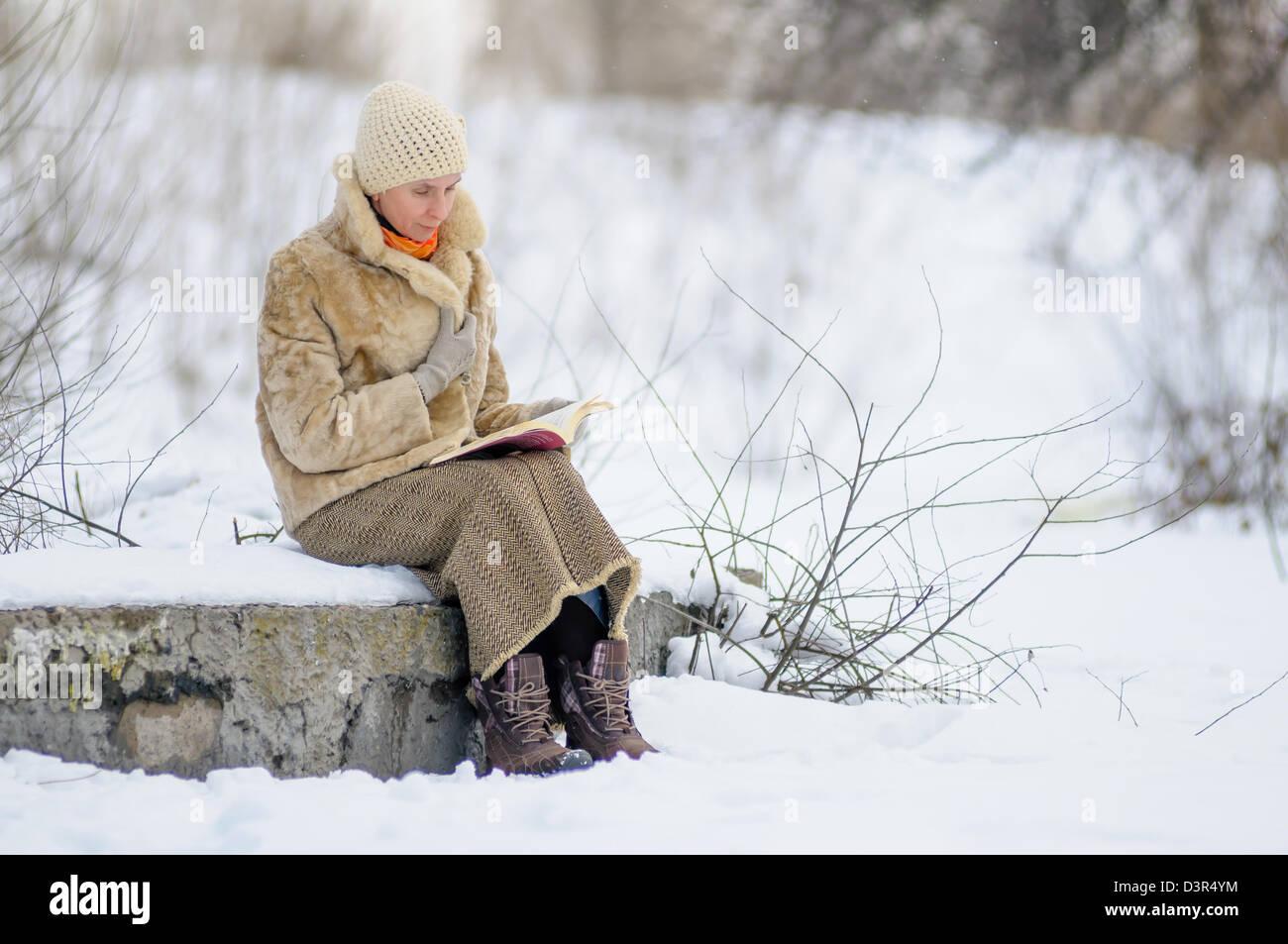 Donna seduta su una panchina e la lettura di un libro in inverno. Neve. Foto Stock