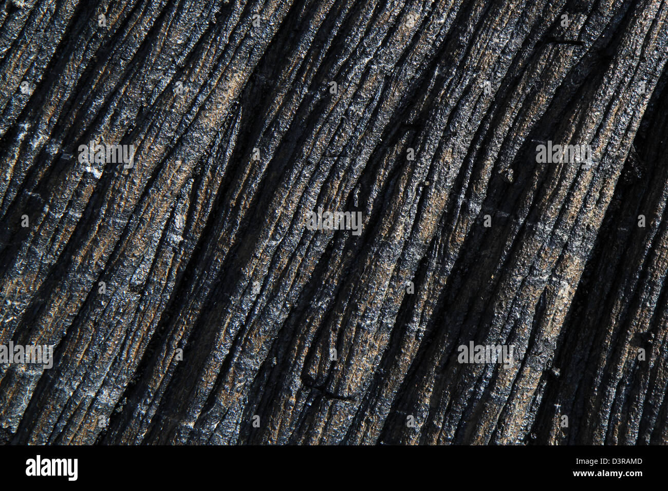 Recenti di lava pahoehoe da Kilauea Parco Nazionale dei Vulcani delle Hawaii Foto Stock