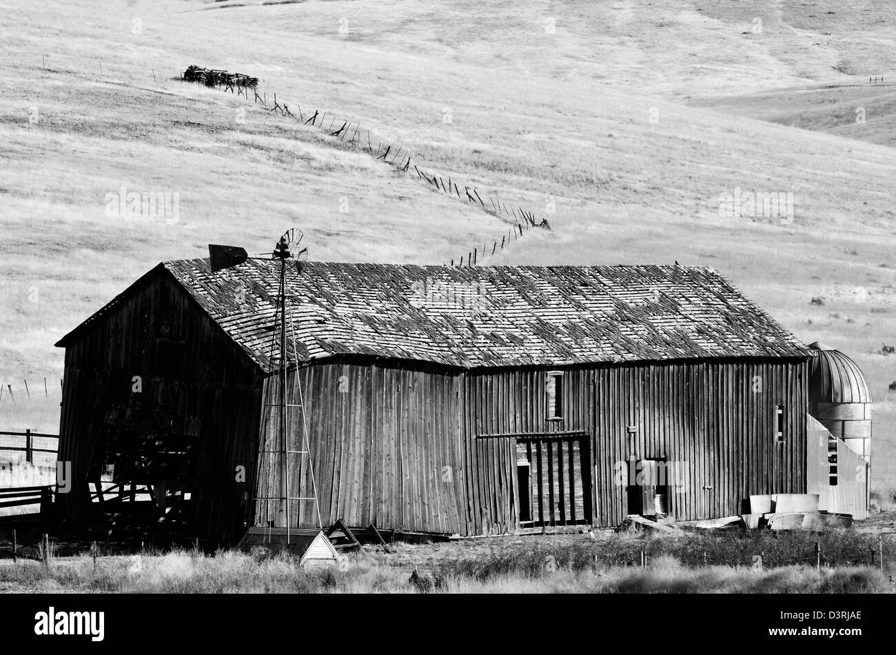 Il vecchio fienile, Wheeler County, Oregon orientale. Foto Stock