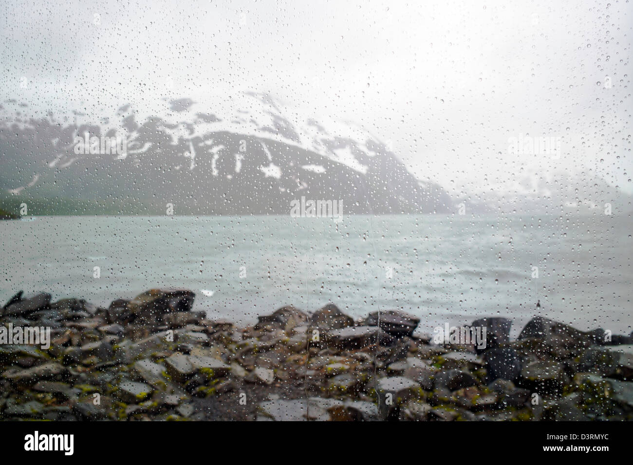 Visualizzare le finestre grandi, Boggs Visitor Center, Lago di Portage Portage Glacier, Chugach National Forest, Portage, Alaska, STATI UNITI D'AMERICA Foto Stock