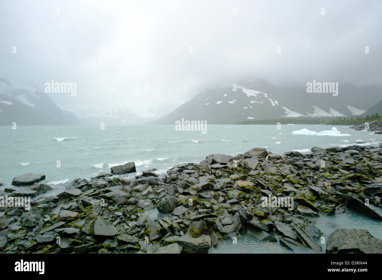 Visualizzare le finestre grandi, Boggs Visitor Center, Lago di Portage Portage Glacier, Chugach National Forest, Portage, Alaska, STATI UNITI D'AMERICA Foto Stock