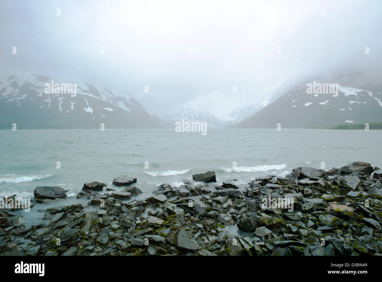 Visualizzare le finestre grandi, Boggs Visitor Center, Lago di Portage Portage Glacier, Chugach National Forest, Portage, Alaska, STATI UNITI D'AMERICA Foto Stock
